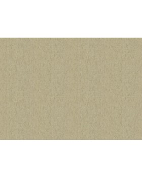 571110 Обои Rasch (Back to Nature) (1*12) 10,05x0,53 винил на флизелине-foto2