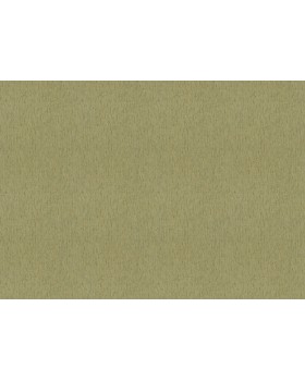 571127 Обои Rasch (Back to Nature) (1*12) 10,05x0,53 винил на флизелине-foto2