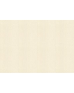 746020 Обои Rasch (Back to Nature) (1*12) 10,05x0,53 винил на флизелине-foto2