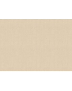 746037 Обои Rasch (Back to Nature) (1*12) 10,05x0,53 винил на флизелине-foto2