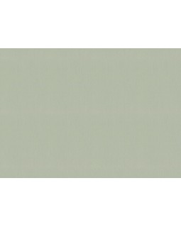 746136 Обои Rasch (Back to Nature) (1*12) 10,05x0,53 винил на флизелине-foto2