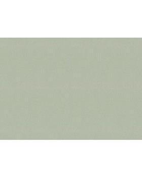 746136 Обои Rasch (Back to Nature) (1*12) 10,05x0,53 винил на флизелине-foto2