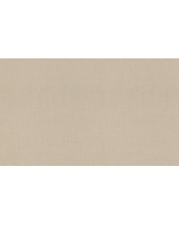 820041 Обои Rasch (Florentine Incanto) (1*6) 10,05x1,06 винил на флизелине