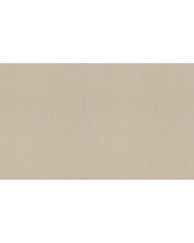 820041 Обои Rasch (Florentine Incanto) (1*6) 10,05x1,06 винил на флизелине
