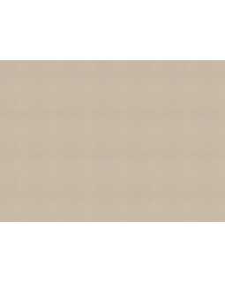 820041 Обои Rasch (Florentine Incanto) (1*6) 10,05x1,06 винил на флизелине-foto2