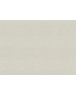 820737 Обои Rasch (Florentine Incanto) (1*6) 10,05x1,06 винил на флизелине-foto2