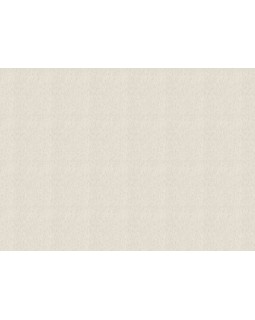 820539 Обои Rasch (Florentine Incanto) (1*6) 10,05x1,06 винил на флизелине-foto2