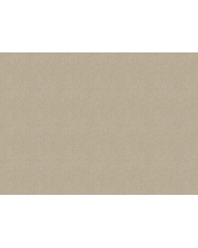 820546 Обои Rasch (Florentine Incanto) (1*6) 10,05x1,06 винил на флизелине-foto2