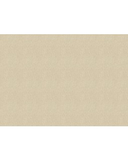 820553 Обои Rasch (Florentine Incanto) (1*6) 10,05x1,06 винил на флизелине-foto2