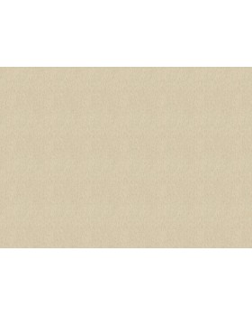 820553 Обои Rasch (Florentine Incanto) (1*6) 10,05x1,06 винил на флизелине-foto2