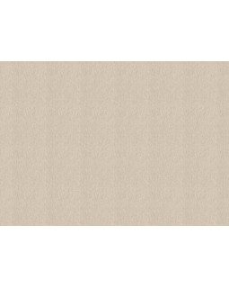 820560 Обои Rasch (Florentine Incanto) (1*6) 10,05x1,06 винил на флизелине-foto2