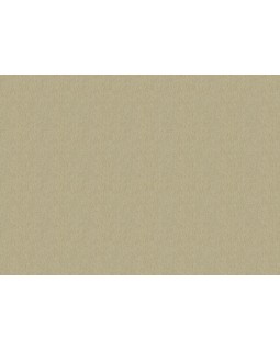 820577 Обои Rasch (Florentine Incanto) (1*6) 10,05x1,06 винил на флизелине-foto2