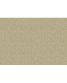 820577 Обои Rasch (Florentine Incanto) (1*6) 10,05x1,06 винил на флизелине-foto2