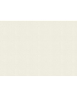 978407 Обои Rasch (Florentine Incanto) (1*6) 10,05x1,06 винил на флизелине-foto2