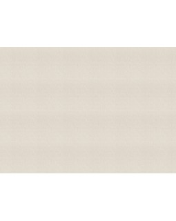 978414 Обои Rasch (Florentine Incanto) (1*6) 10,05x1,06 винил на флизелине-foto2