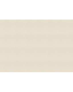 978421 Обои Rasch (Florentine Incanto) (1*6) 10,05x1,06 винил на флизелине-foto2