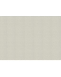 978438 Обои Rasch (Florentine Incanto) (1*6) 10,05x1,06 винил на флизелине-foto2