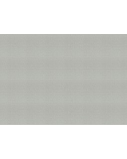 978445 Обои Rasch (Florentine Incanto) (1*6) 10,05x1,06 винил на флизелине-foto2