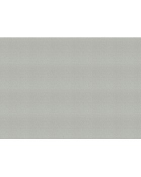 978445 Обои Rasch (Florentine Incanto) (1*6) 10,05x1,06 винил на флизелине-foto2