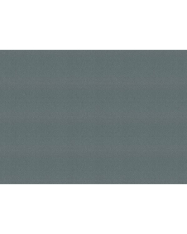 978452 Обои Rasch (Florentine Incanto) (1*6) 10,05x1,06 винил на флизелине