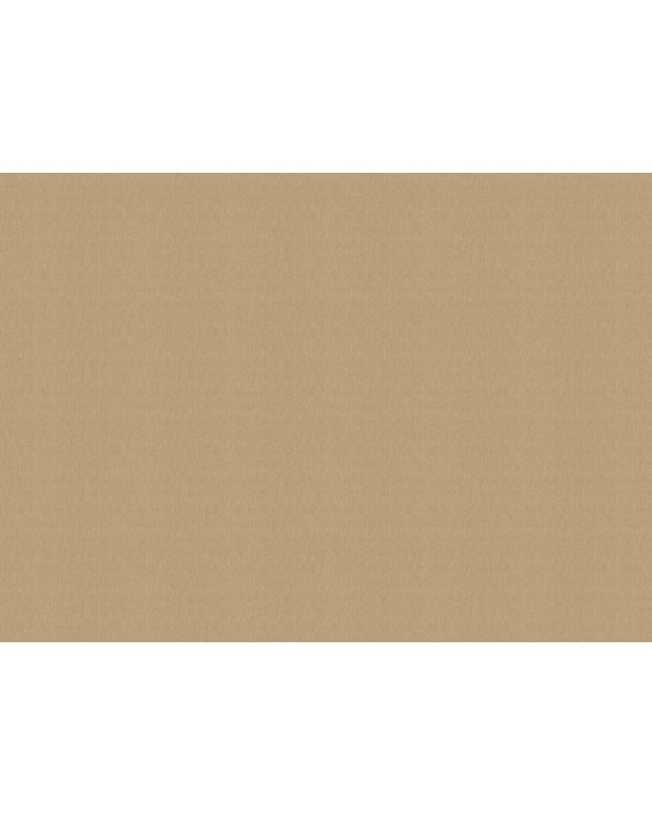 978469 Обои Rasch (Florentine Incanto) (1*6) 10,05x1,06 винил на флизелине