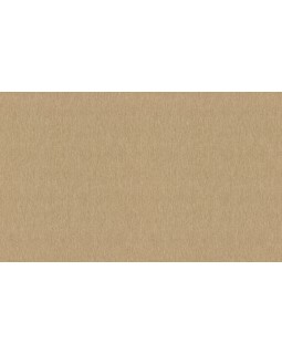 978469 Обои Rasch (Florentine Incanto) (1*6) 10,05x1,06 винил на флизелине