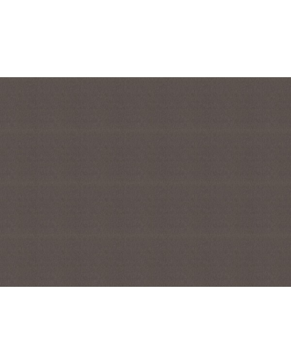978476 Обои Rasch (Florentine Incanto) (1*6) 10,05x1,06 винил на флизелине