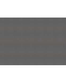 978483 Обои Rasch (Florentine Incanto) (1*6) 10,05x1,06 винил на флизелине-foto2