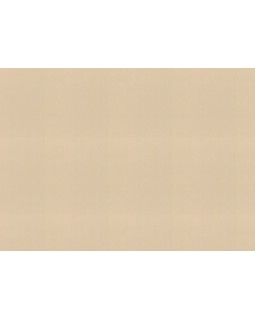 977608 Обои Rasch (Florentine Incanto) (1*6) 10,05x1,06 винил на флизелине-foto2