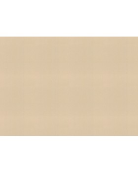 977608 Обои Rasch (Florentine Incanto) (1*6) 10,05x1,06 винил на флизелине-foto2