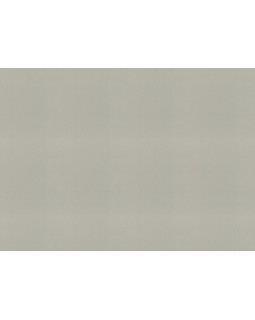 977615 Обои Rasch (Florentine Incanto) (1*6) 10,05x1,06 винил на флизелине-foto2