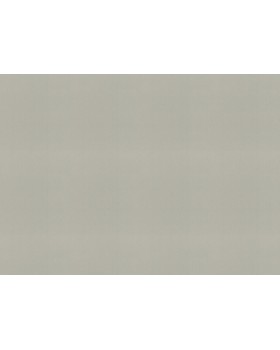 977615 Обои Rasch (Florentine Incanto) (1*6) 10,05x1,06 винил на флизелине-foto2