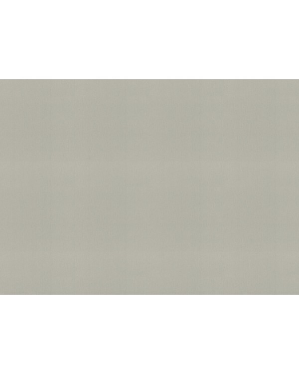 977615 Обои Rasch (Florentine Incanto) (1*6) 10,05x1,06 винил на флизелине