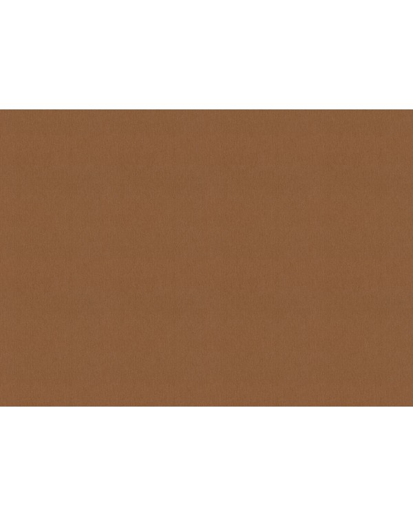 977622 Обои Rasch (Florentine Incanto) (1*6) 10,05x1,06 винил на флизелине