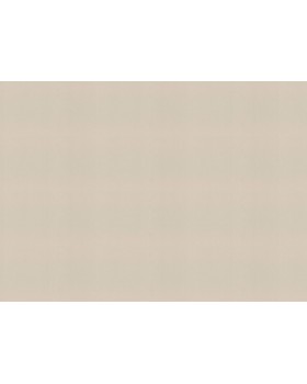 983517 Обои Rasch (Novella) (1*6) 10,05x1,06 винил на флизелине-foto2