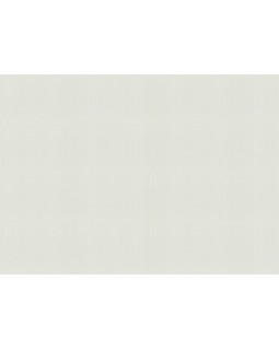 983593 Обои Rasch (Novella) (1*6) 10,05x1,06 винил на флизелине-foto2