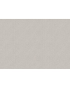 820034 Обои Rasch (Novella) (1*6) 10,05x1,06 винил на флизелине-foto2