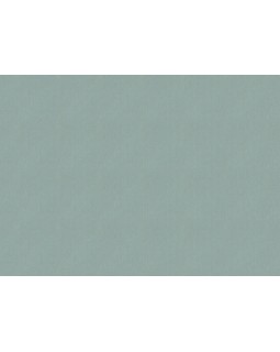 820058 Обои Rasch (Novella) (1*6) 10,05x1,06 винил на флизелине-foto2