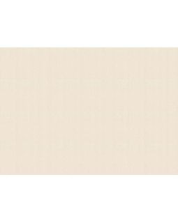 960761 Обои Rasch (Novella) (1*6) 10,05x1,06 винил на флизелине-foto2