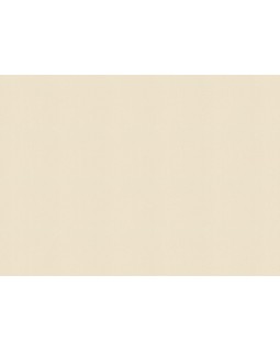 960778 Обои Rasch (Novella) (1*6) 10,05x1,06 винил на флизелине-foto2