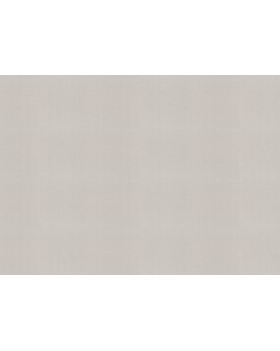 960785 Обои Rasch (Novella) (1*6) 10,05x1,06 винил на флизелине-foto2